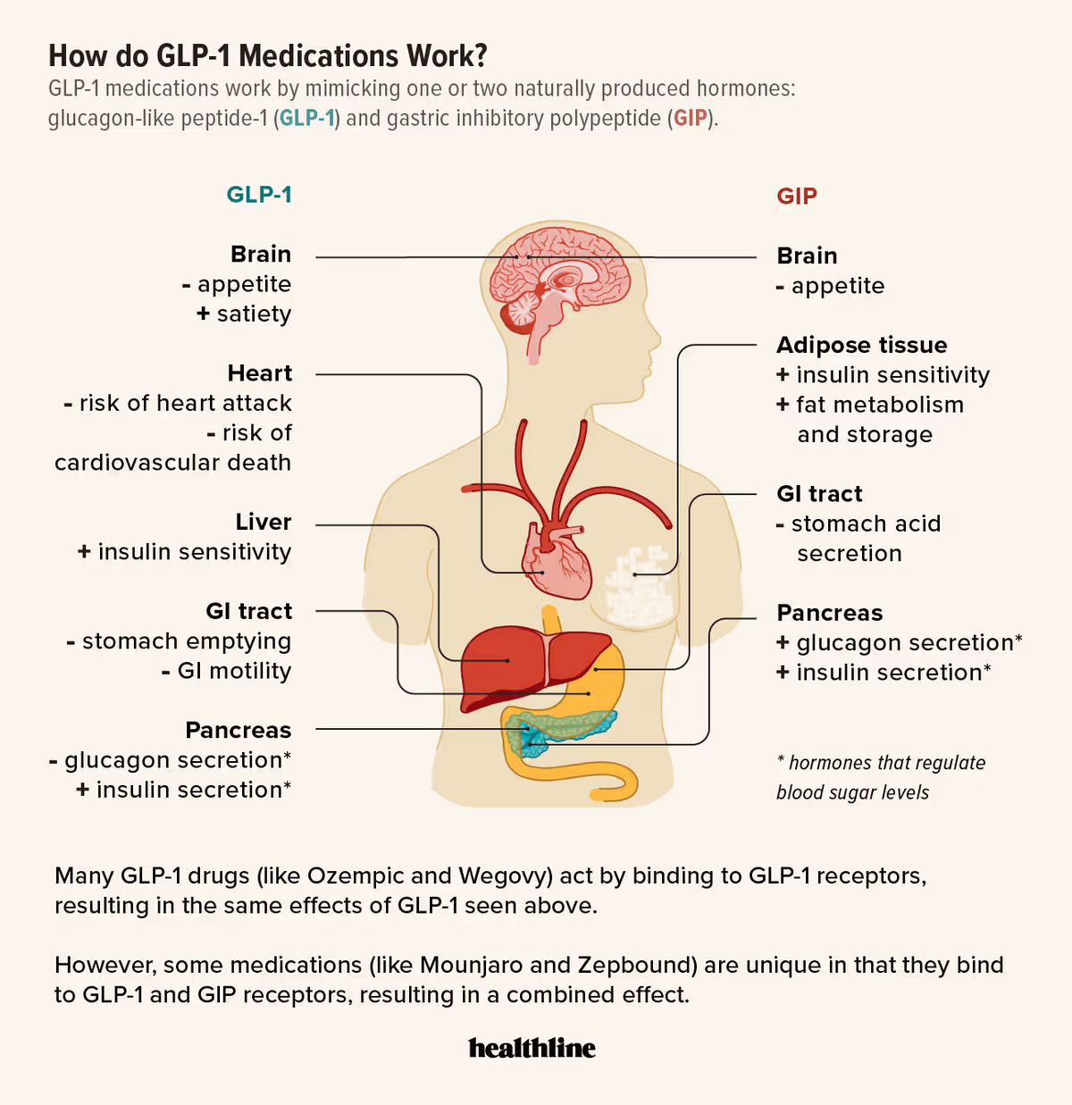 Why <em>Hormones</em> Matter More Than Willpower